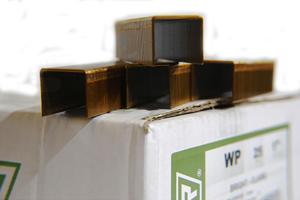 Wide Crown Galvanised Framing Staples 15mm-38mm - ProNailers